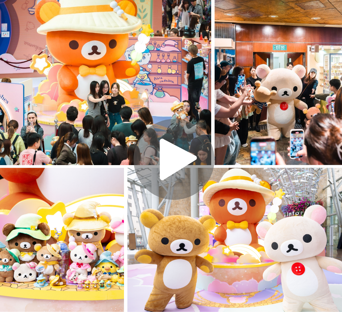 Rilakkuma Pop-Up